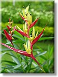 Bali_P601.JPG
