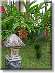 Bali_P602.JPG