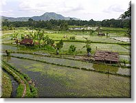 Bali_P621.JPG