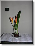 Bali_P640.JPG