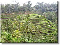 Bali_P650.JPG