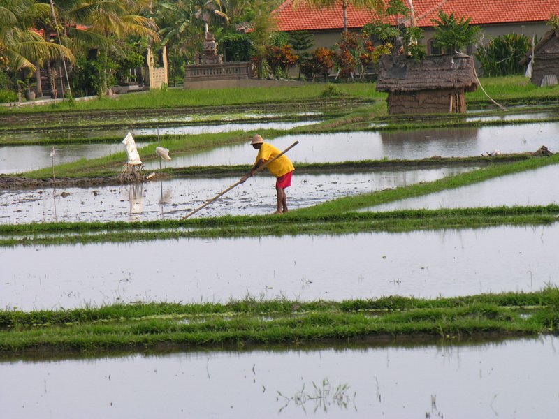 Bali_P706.JPG