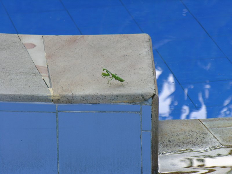 Bali_P717.JPG