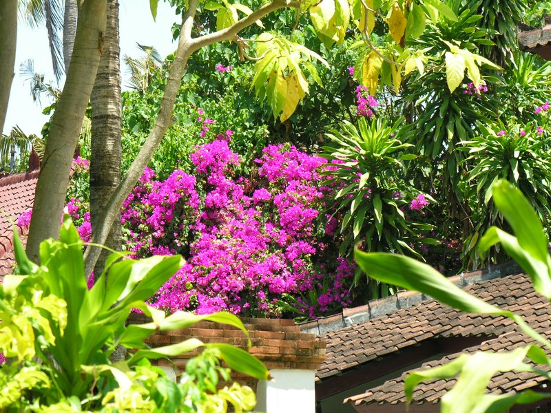 Bali_P723.JPG