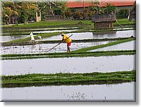 Bali_P706.JPG