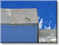 Bali_P717.JPG