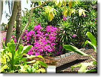 Bali_P723.JPG