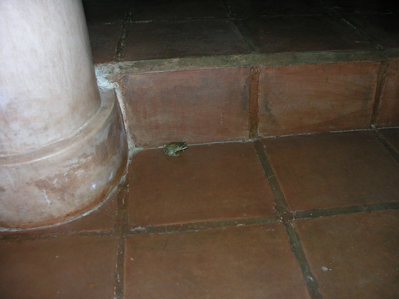 Bali_P810.JPG