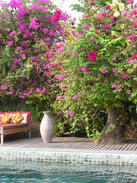 Bali_P812.JPG