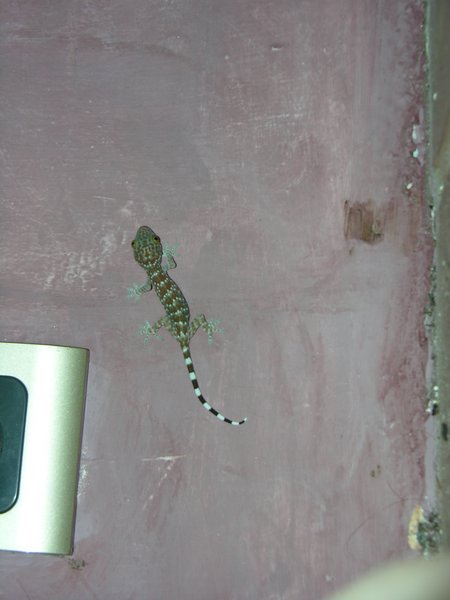 Bali_P817.JPG