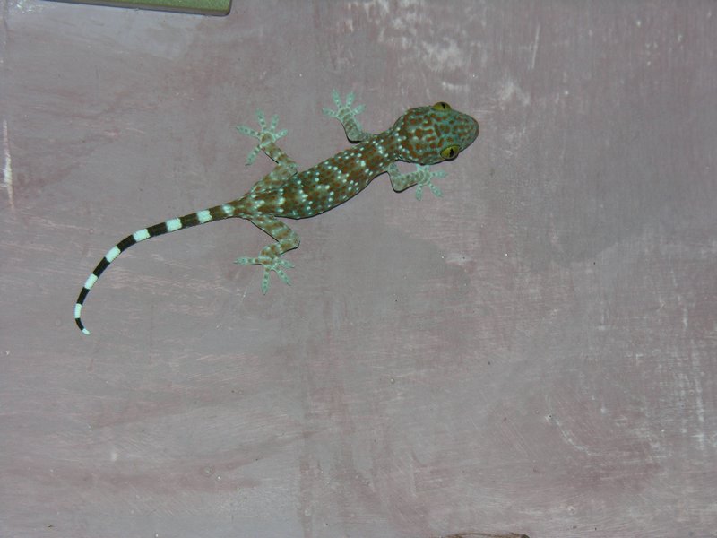 Bali_P818.JPG