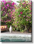 Bali_P812.JPG