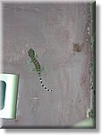 Bali_P817.JPG