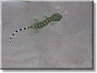 Bali_P818.JPG