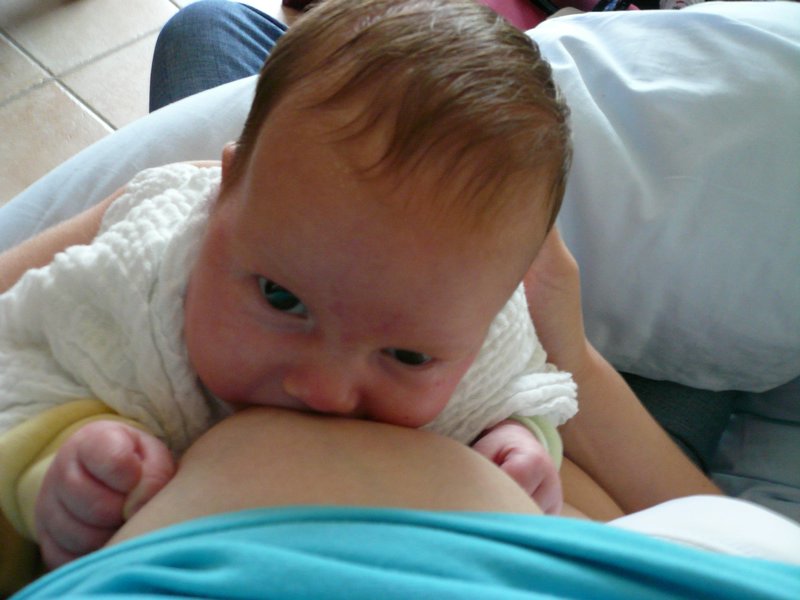 P1010565.JPG