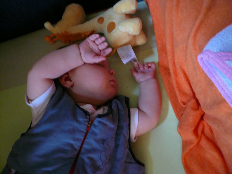 P1020154.JPG