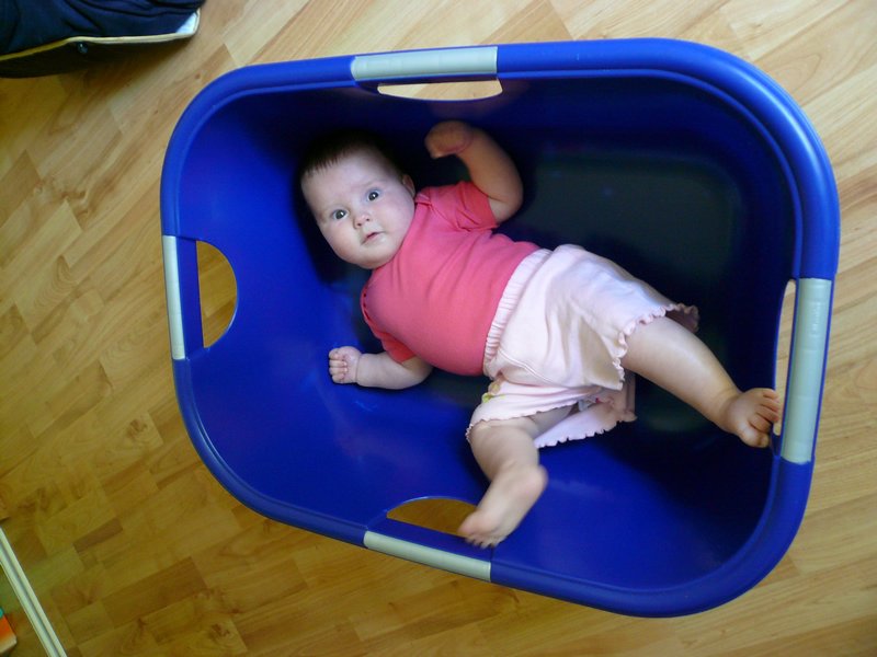 P1020237.JPG