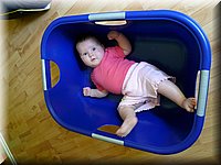 P1020237.JPG
