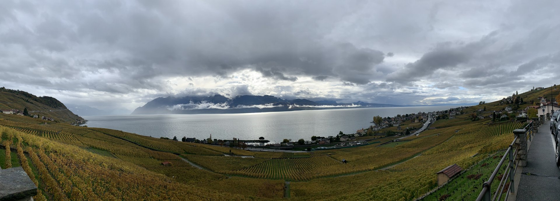 autumn19_241.jpg