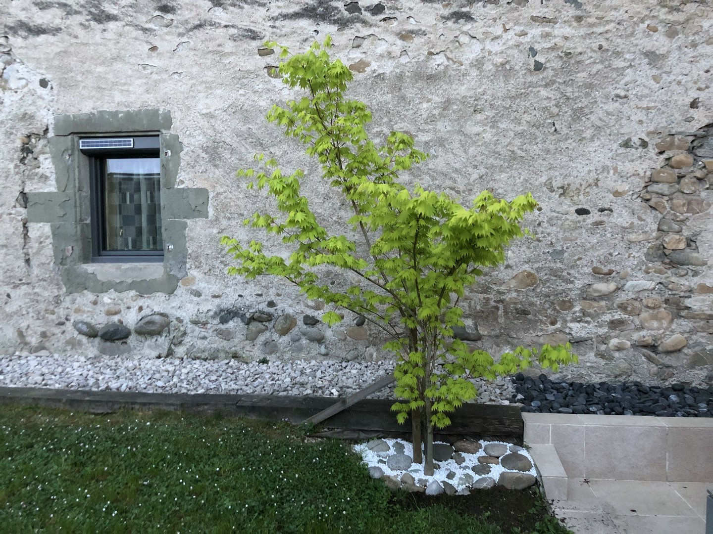2004_390.jpg
