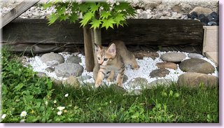 2006_0410.jpg