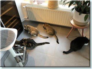 2012_245.jpeg