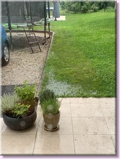 2107_020.jpeg