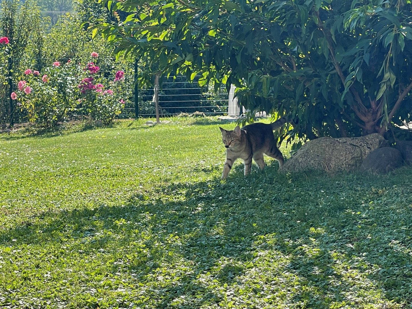 2109_130.jpeg