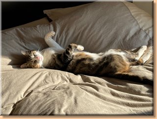 2110_870.jpeg