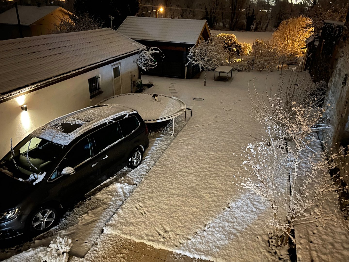 2112_010.jpeg