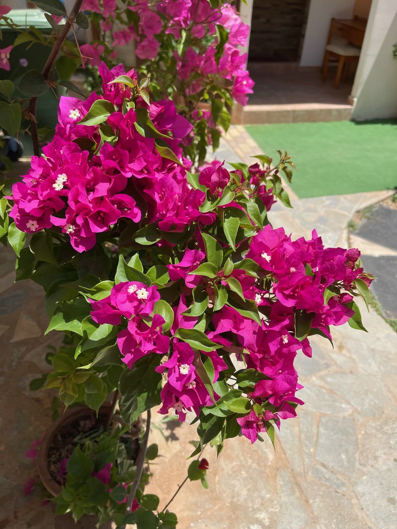 Crete22_0080.jpeg