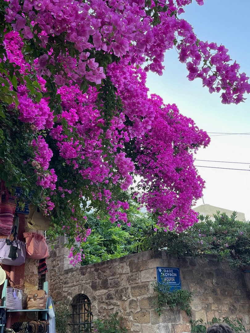 Crete22_0420.jpeg