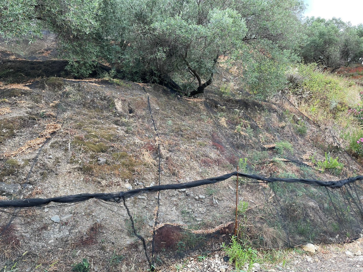 Crete22_0990.jpeg