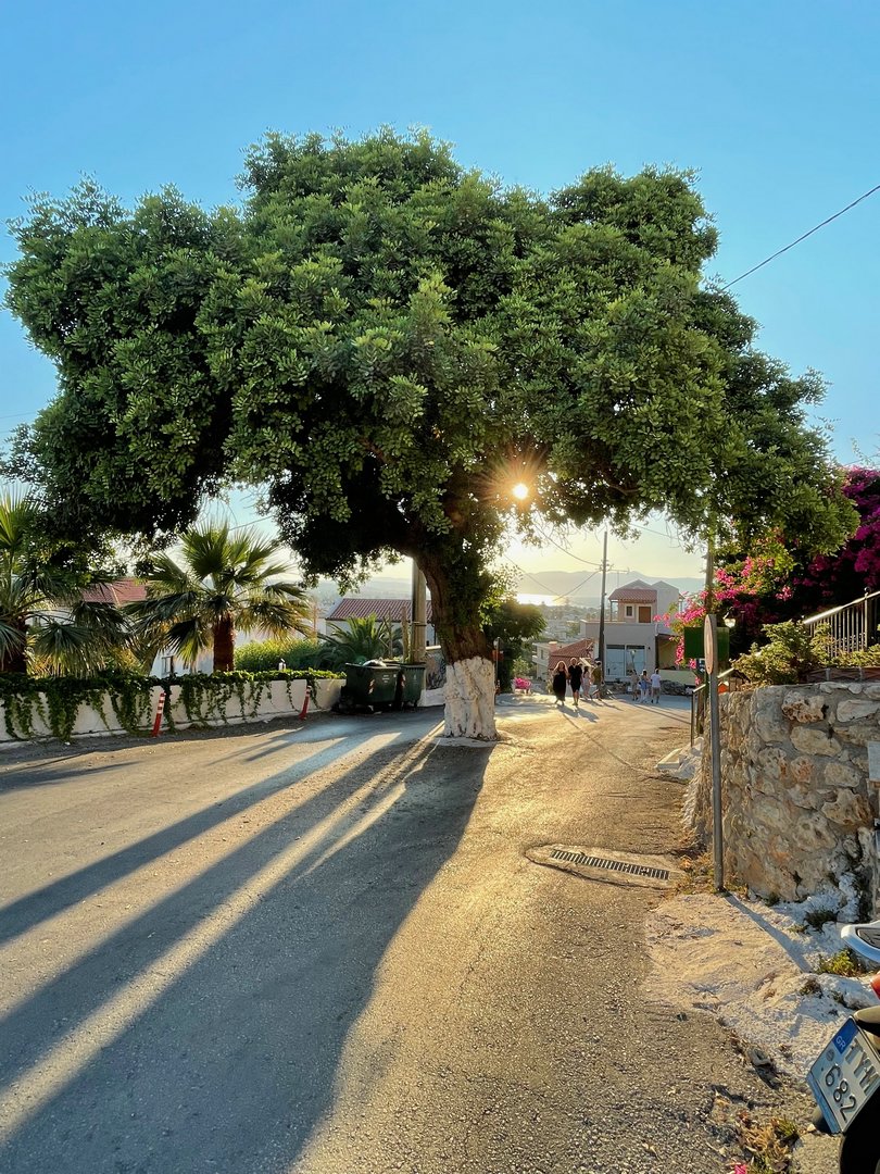 Crete22_1210.jpeg