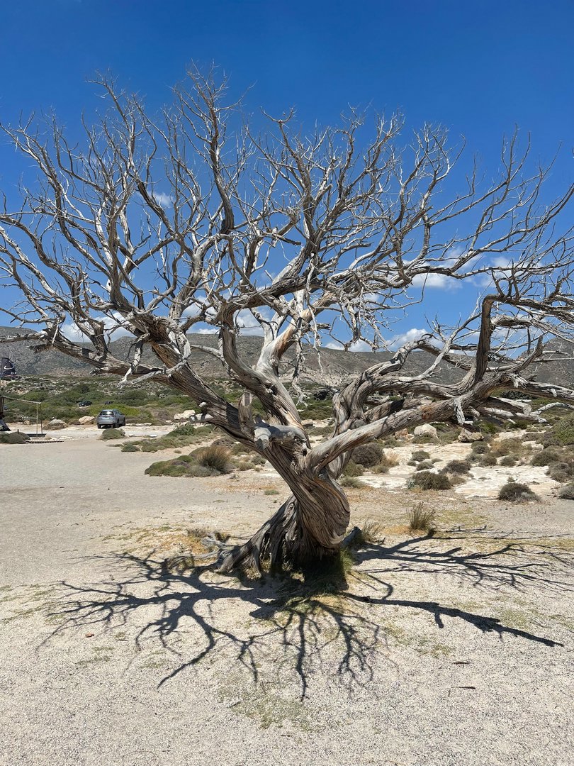 Crete22_1570.jpeg