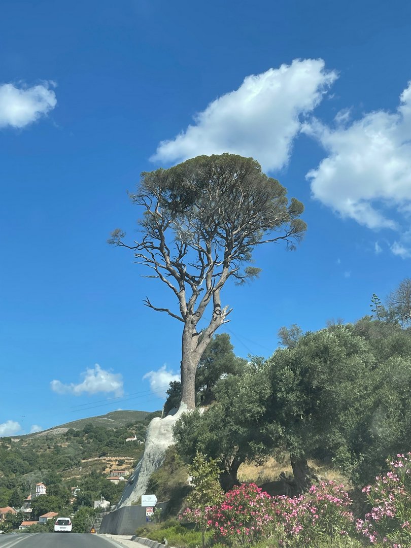 Crete22_1680.jpeg