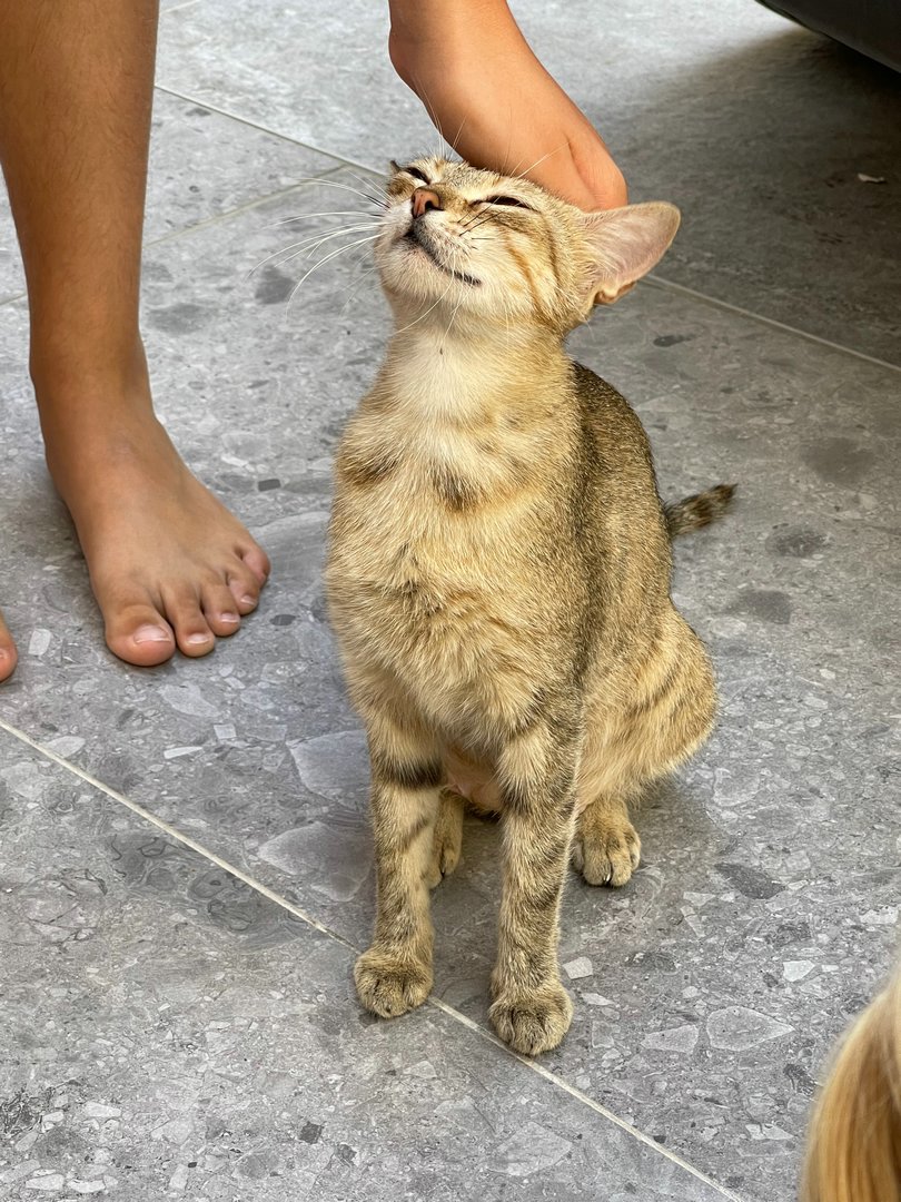 Crete22_1760.jpeg