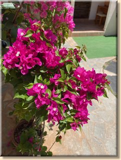 Crete22_0080.jpeg