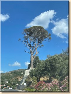 Crete22_1680.jpeg