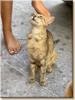 Crete22_1760.jpeg