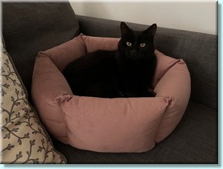 2208_030.jpeg